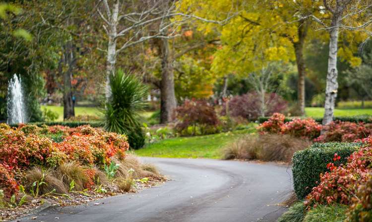 44 Dale Road Ramarama_29