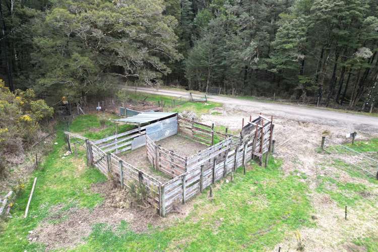 1480 Snowy River Road Ikamatua_13