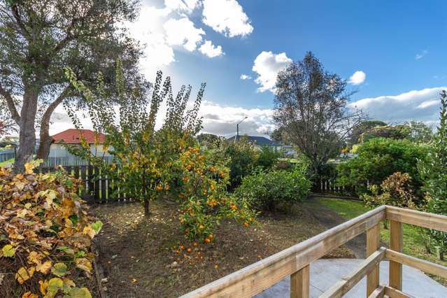 15 Williams Street Marewa_4