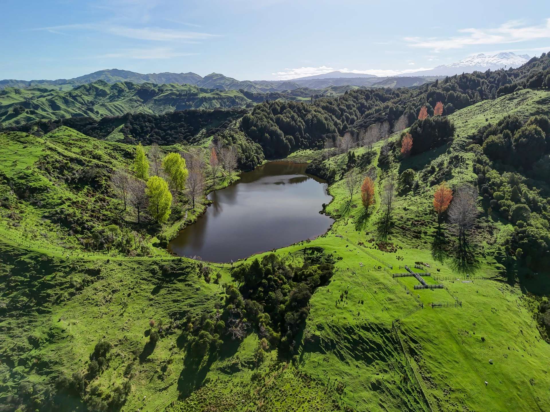 56 Makakahi Road Ruapehu-King Country Surrounds_0