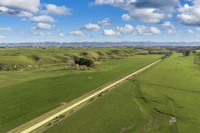 Ngaruru Road Ongaonga_3