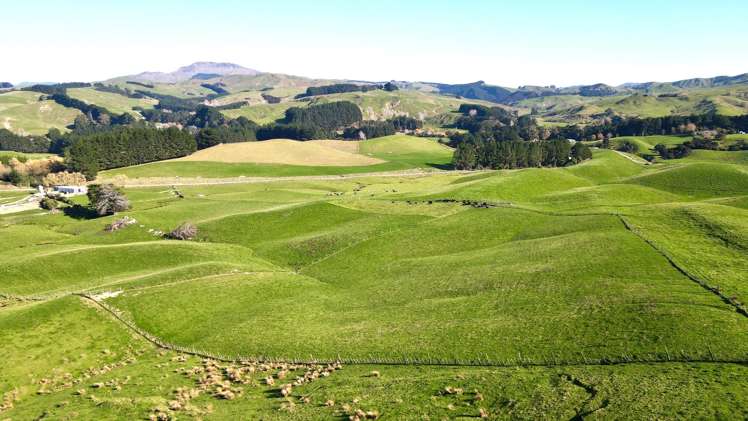 129 Speedy Road Dannevirke_1