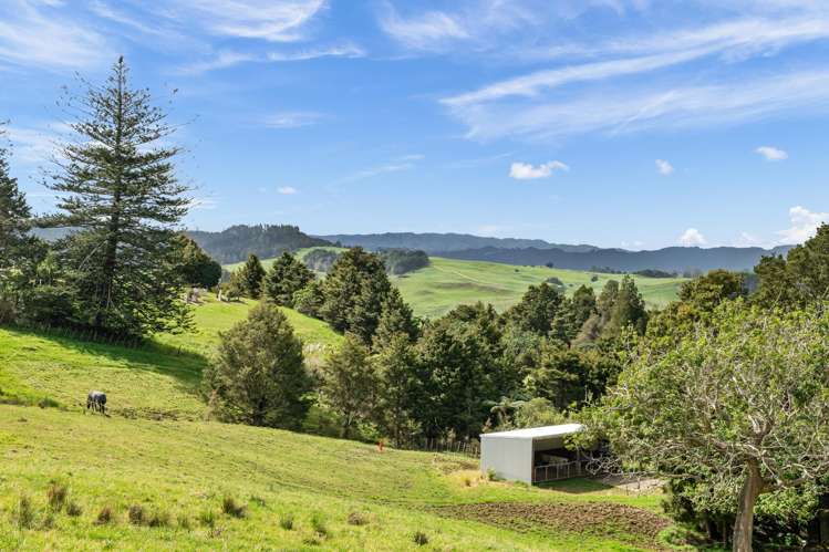 1065 Snooks Road Maungakaramea_22