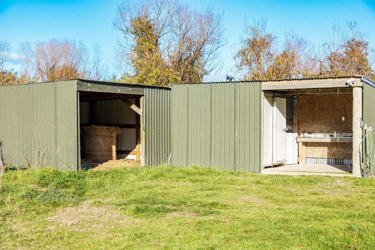 1193 KaitunaTuamarina Road Renwick Marlborough Rural Property For Sale One Roof