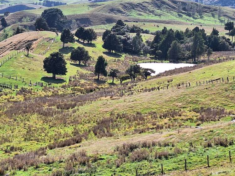 Mangaone Road Pongaroa_12