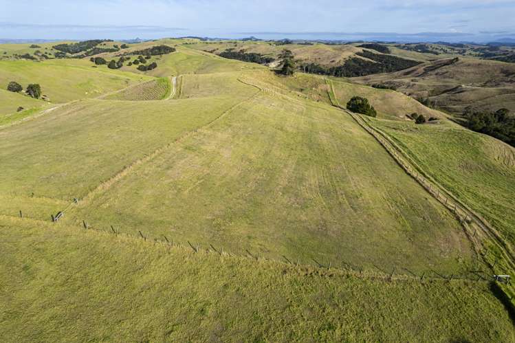 Parahi Road Ruawai_12