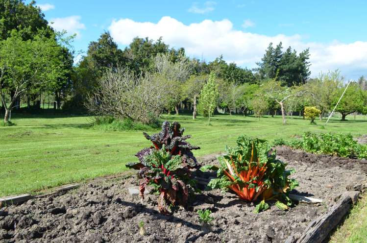 83 Boundary Road Upper Plain_25