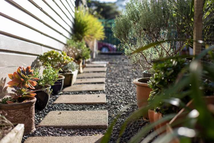 35 Government Road Raglan_14