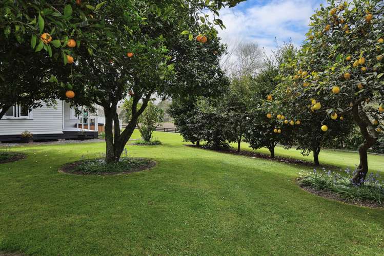 232 Brownlie Road Wairoa Country_26