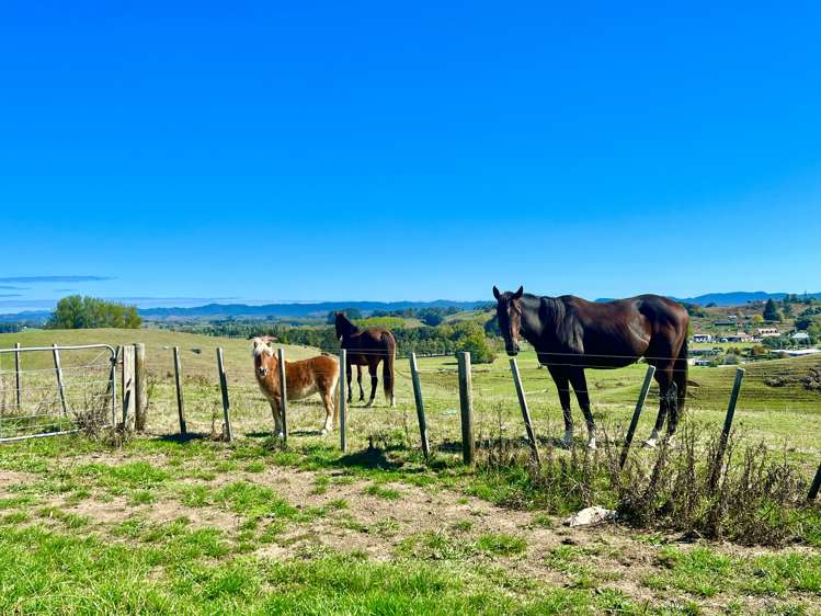 16 Southworth Place Grandview Heights_17