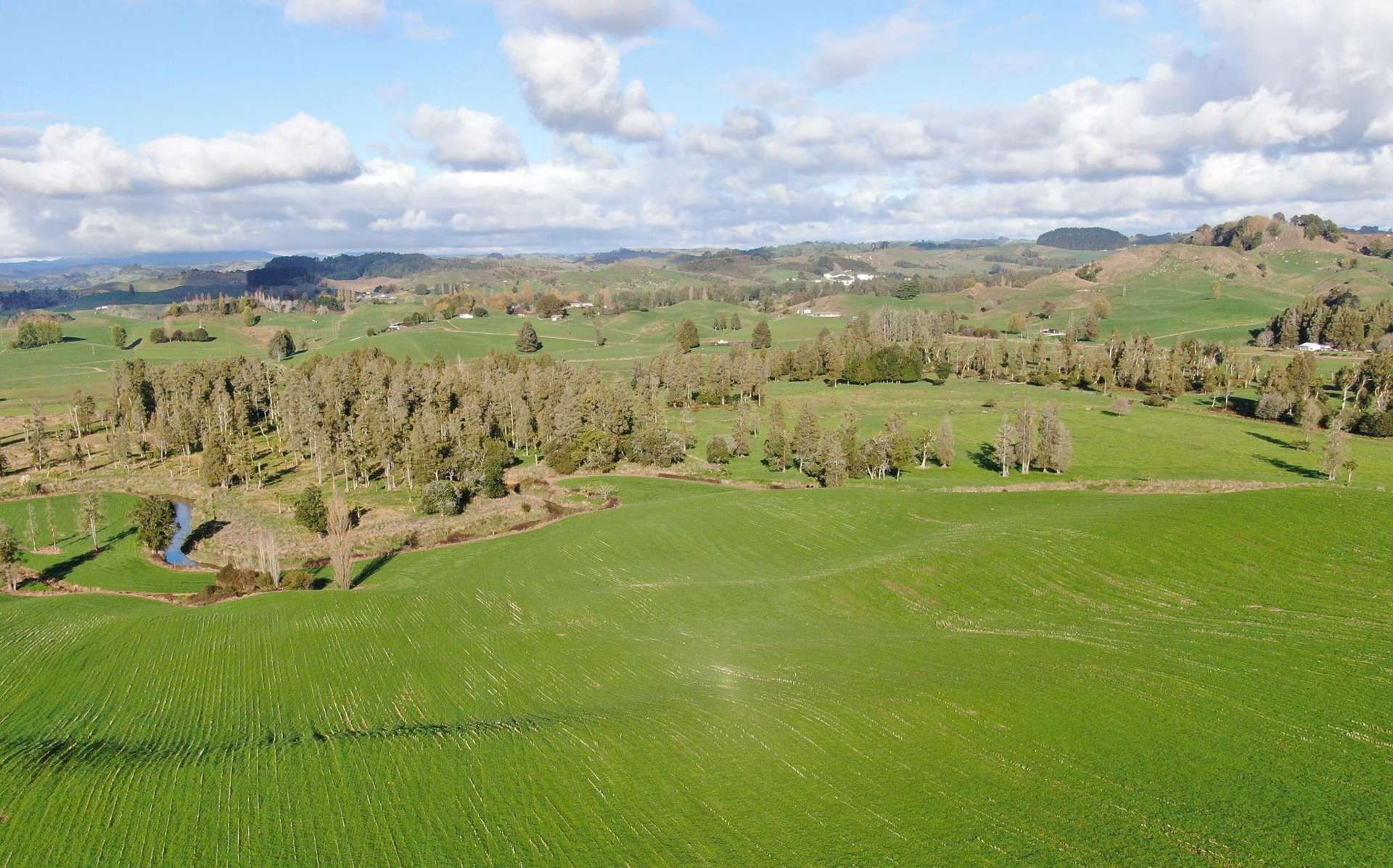 Waitomo Caves Road Waitomo_0