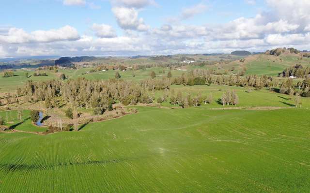 Rare Opportunity – 6.6 Hectares of Prime Bare Land