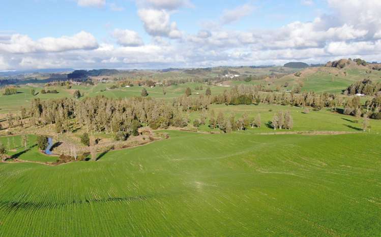 Waitomo Caves Road_0