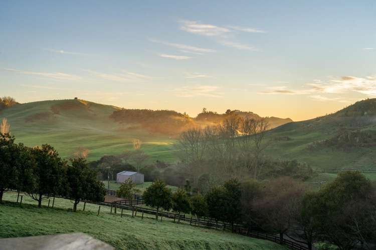 290 Woodlands Road Waihi_26