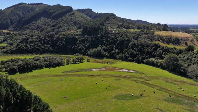 Waiohine Gorge Road Carterton_3