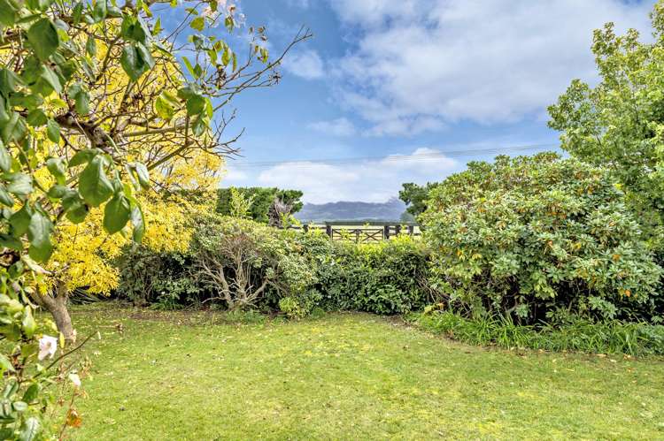 48 Pocock Road Springfield_28