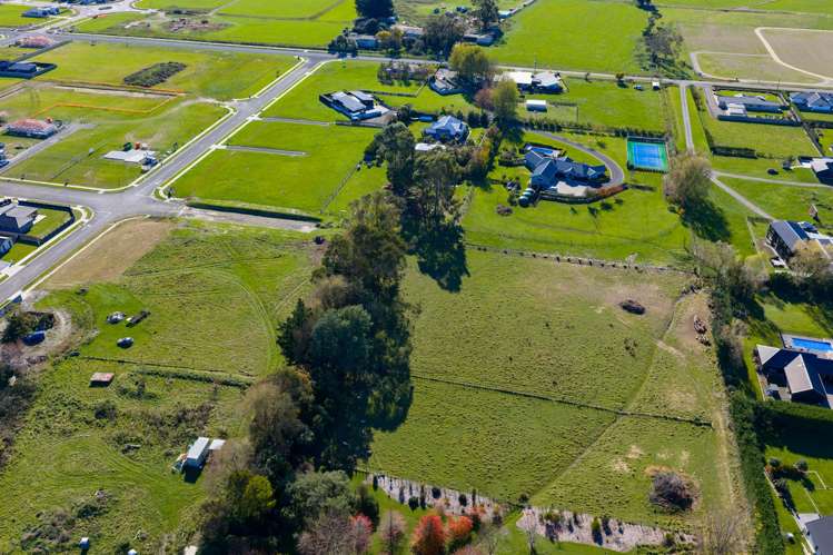 Turoa Street Feilding_5