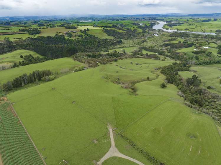 89 Punga Punga Road Pukekawa_8