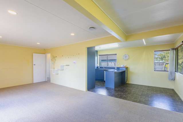 34 Lancaster Street Tamatea_3