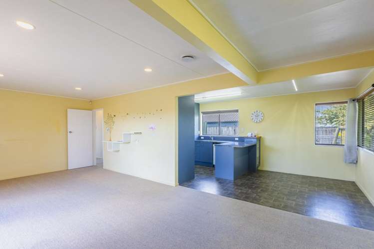 34 Lancaster Street Tamatea_3