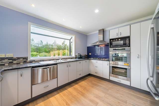 93 Emerald Hill Drive Birchville_3