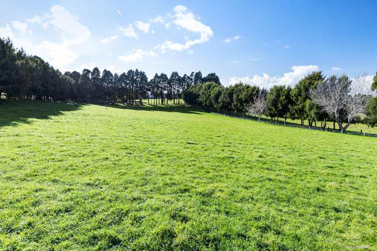 41 Kauri Road Onewhero_22