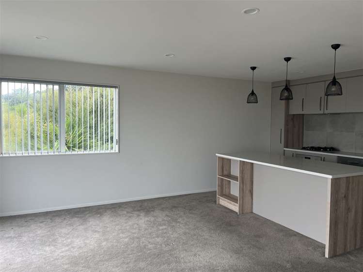 8 Puhakehake Place Flat Bush_5