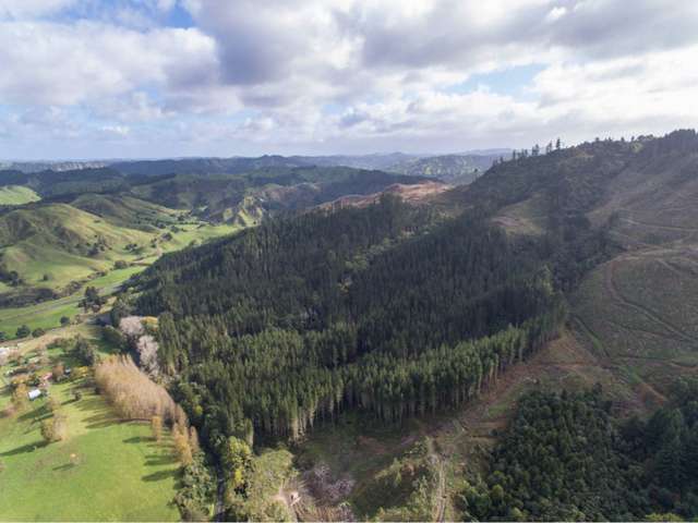 15 State Highway 49 Ohakune_1