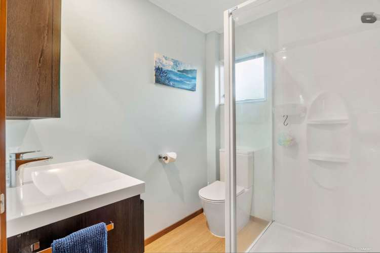 1/4 Pine Street New Lynn_11