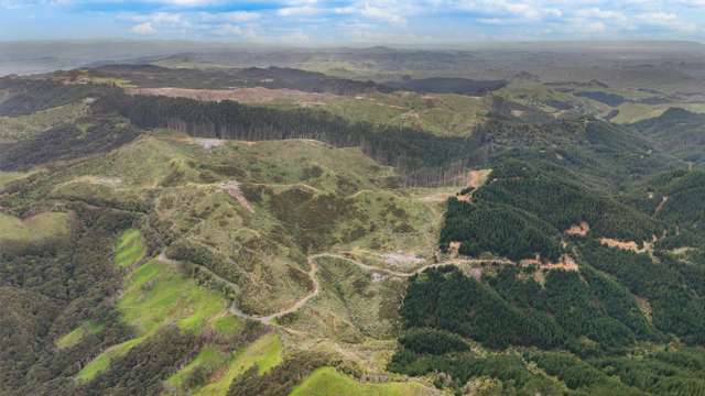 1335 Klondyke Road Port Waikato_4