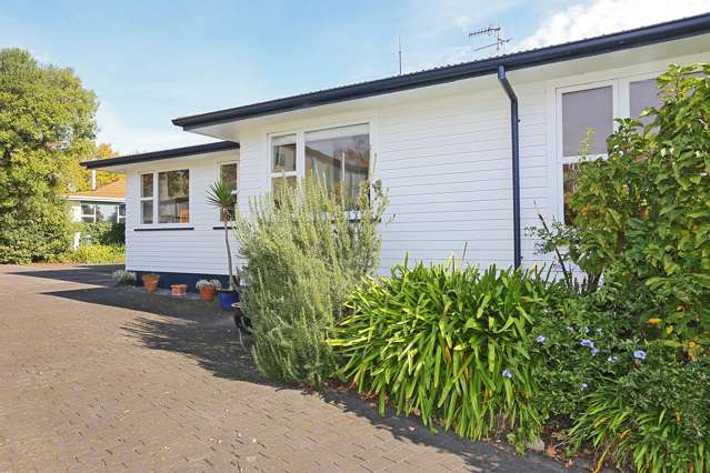 115b Te Mata Road Havelock North_1