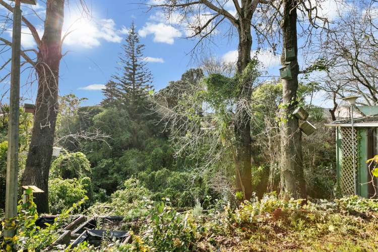 57 Meadowbank Road Meadowbank_18