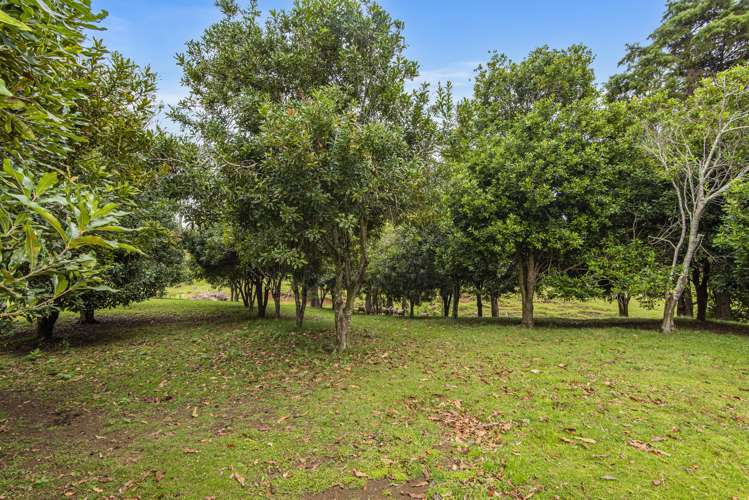 475 Matarau Road Ruatangata_22