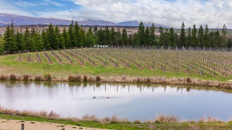 236 Letts Gully Road Alexandra_22