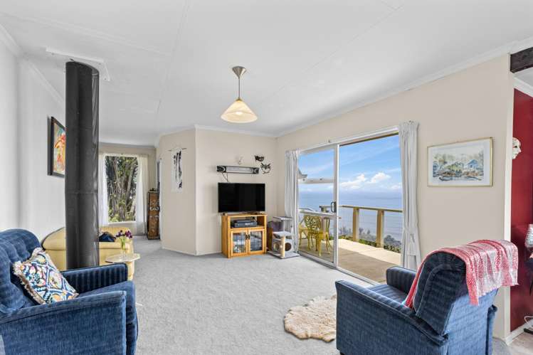 280 Nikau Road, State Highway 67 Nikau_7