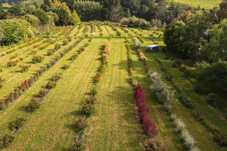 52 No 4 Line Ashhurst_22