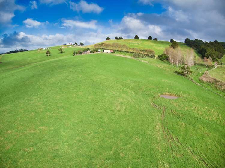 77 Vista Lane Kaiwaka_21