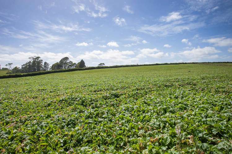 59 Arapuni Road Putaruru_10