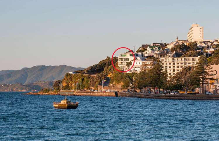 8 Carlton Gore Road Roseneath_14