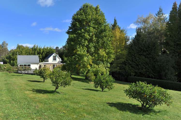 487 Thorpe-Orinoco Road Thorpe_17