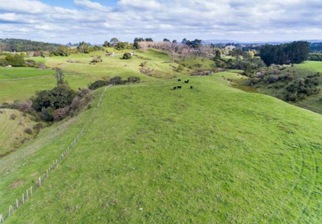 153 Beaver Road Pukekohe East_4