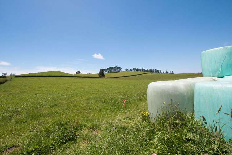 305 Waihi Beach Road Waihi_7