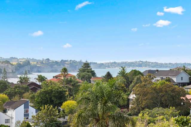 16 Willis Street Torbay_4