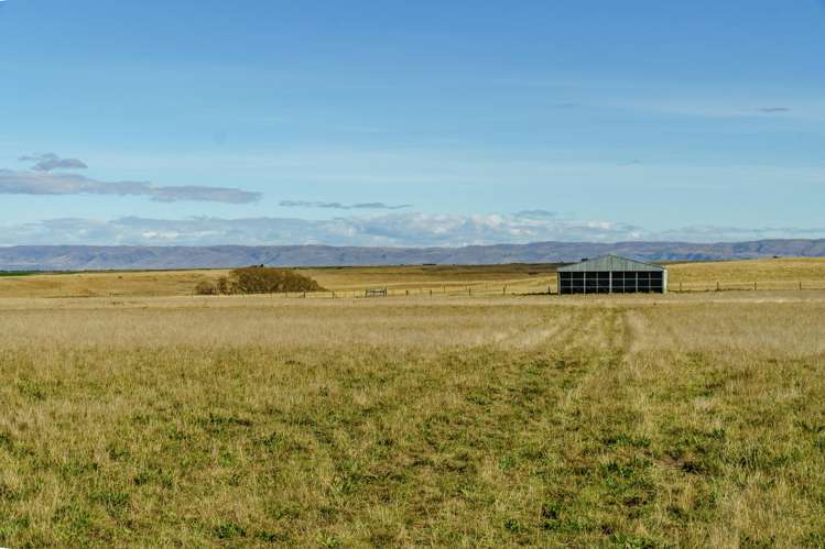 305 Bypass Road Ranfurly_19
