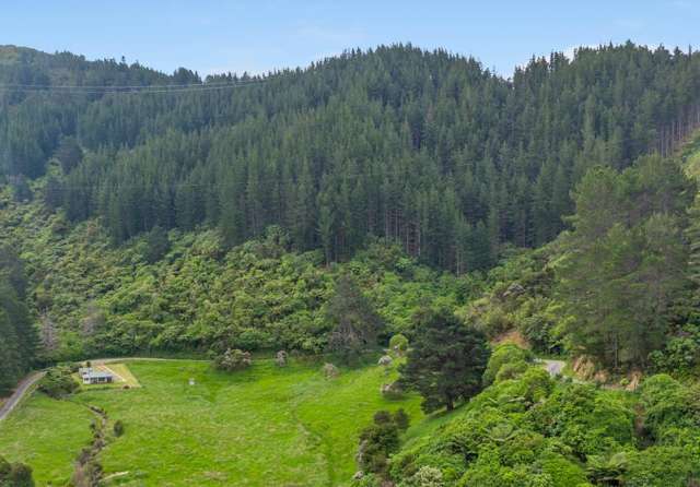Kakapo Bay Port Underwood_2