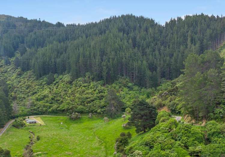 Kakapo Bay Port Underwood_2