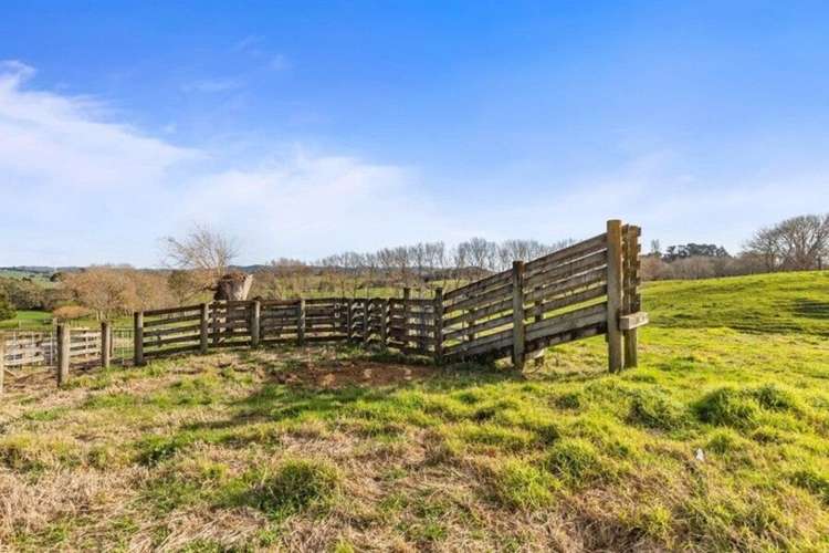 673 HETHERINGTON ROAD Rotongaro_23