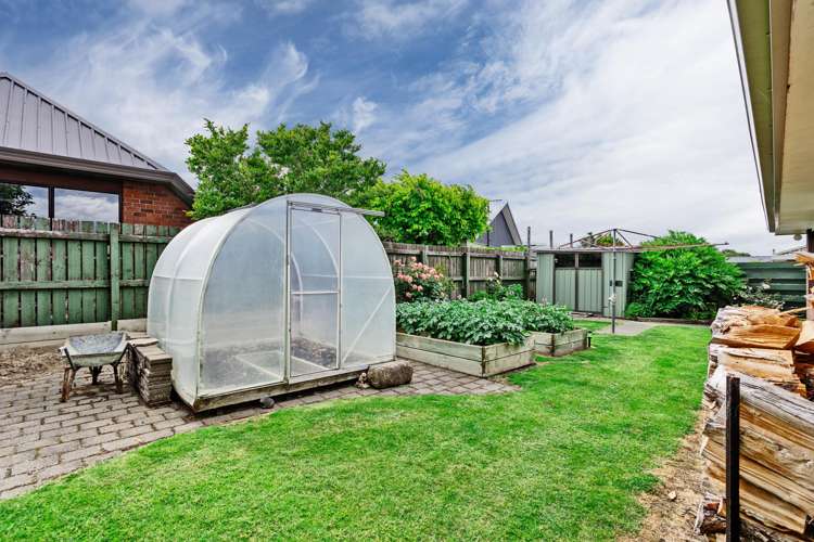 35 Craig Street Waikiwi_29