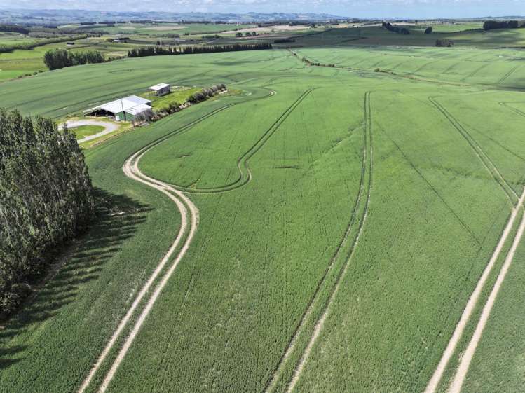 583 Reaby Road Gore_17