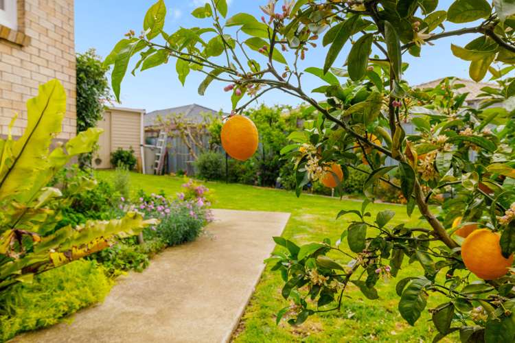 11a Lilac Place Otumoetai_17